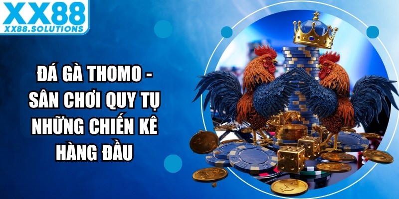 Đá Gà Thomo